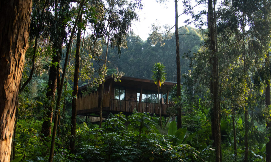 Felix-Studios-Gorilla’s Nest-July-2021-661 One&Only Gorilla's Nest Suite in the middle of the rainforest