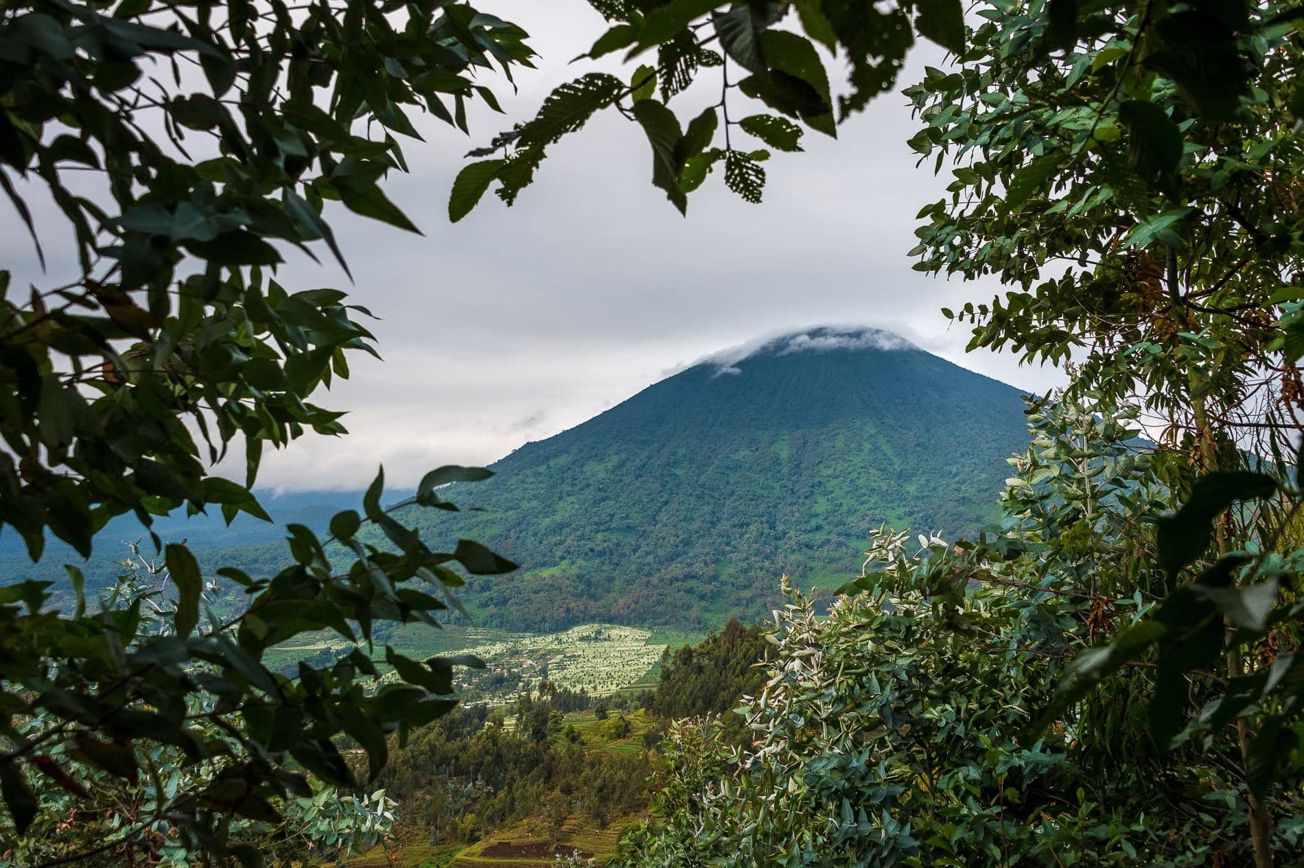 bisate-lodge-views-volcanoes-national-park-01 The magical Volcanoes National Park - the best time to travel to Rwanda