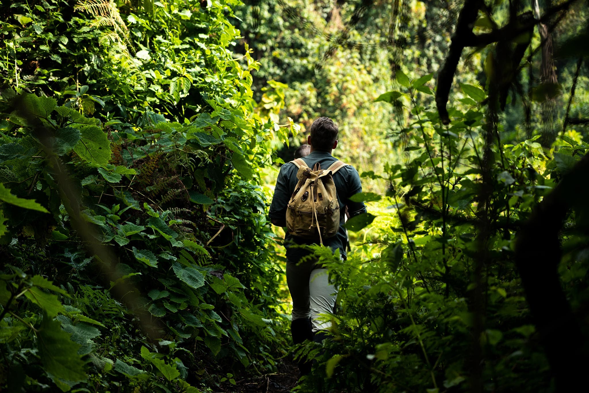 felix-studios-gorillas-nest-july-2021-143 Gorilla trekking in Rwanda