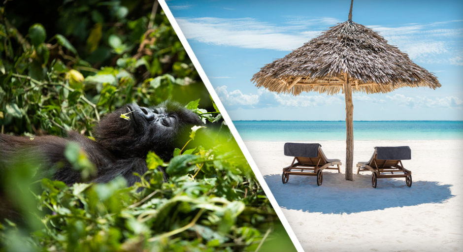 Jungle and Oceans Safaris in Africa
