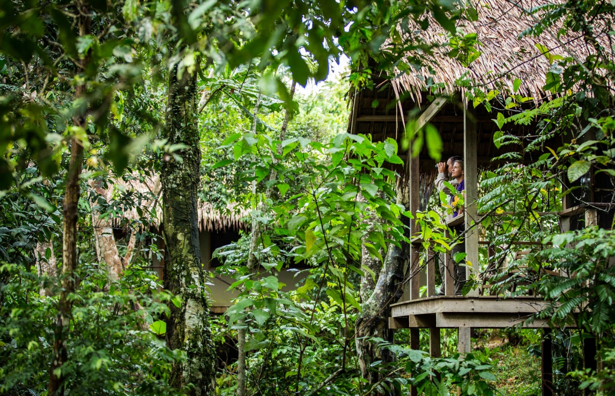 mboko_camp_-_e2016-odzala-alh-81 Viewing deck of Mboko Camp nestled in the forest