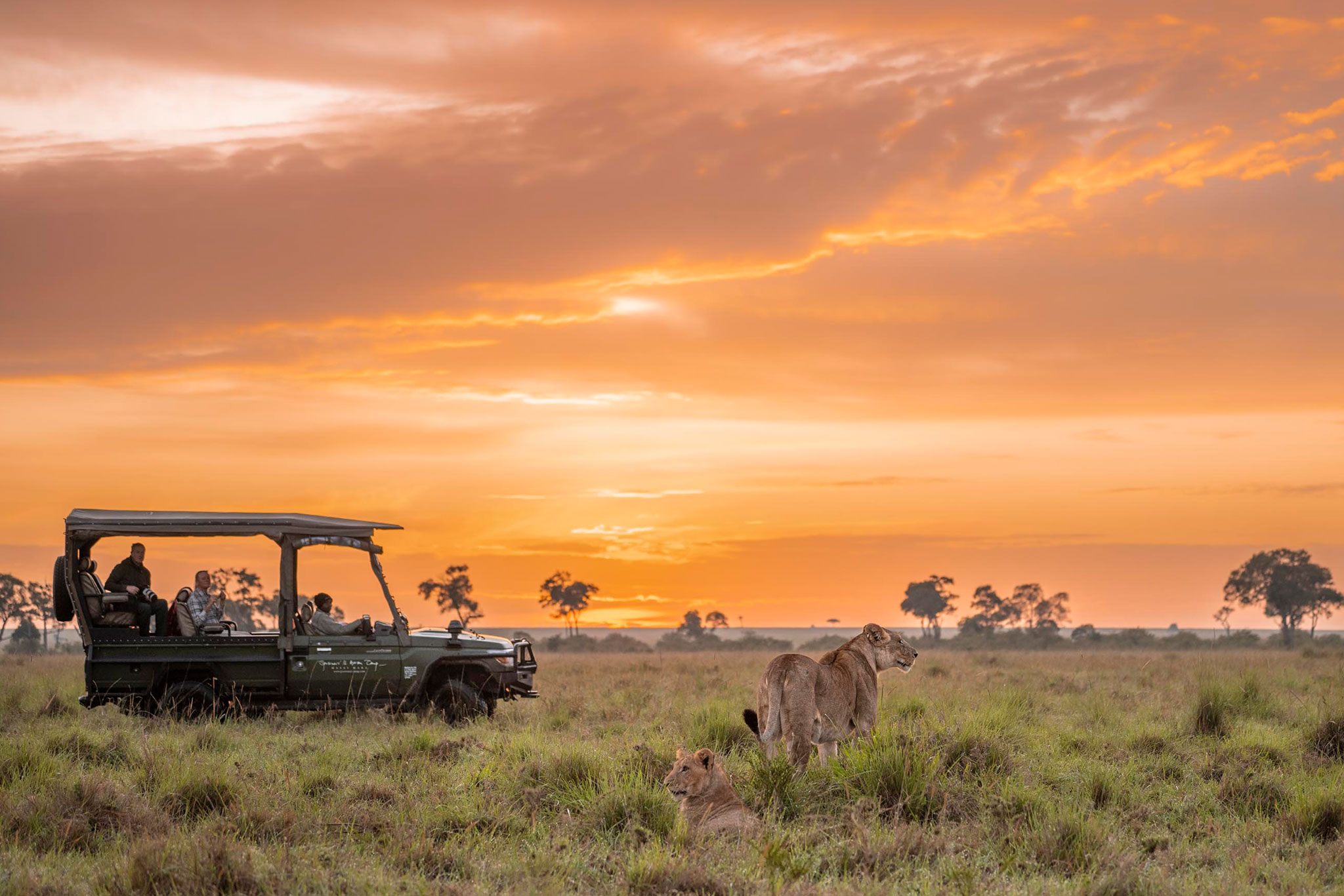 governors-il-moran-camp-activties-game-drive-wildlife-lions-01