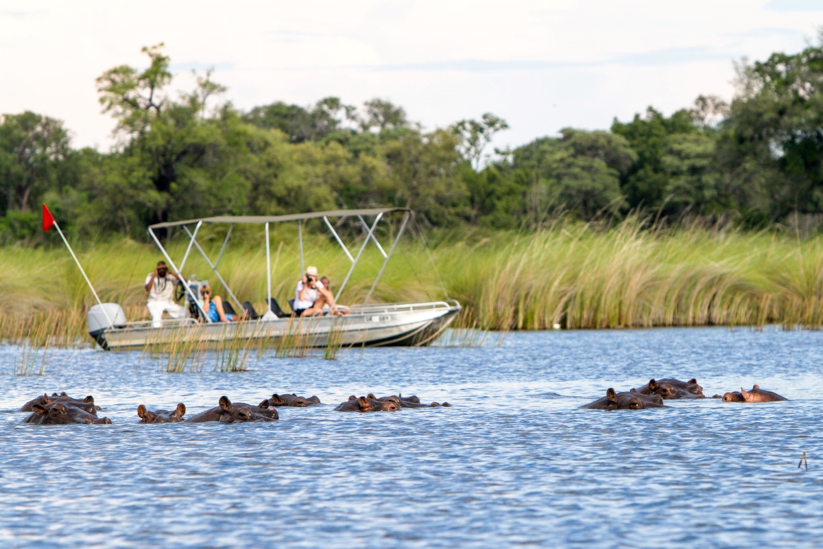 Camp-Moremi-Moremi-Game-Reserve-Botswana-boat-safari-hippos Boat excursion and hippos in Moremi Game Reserve