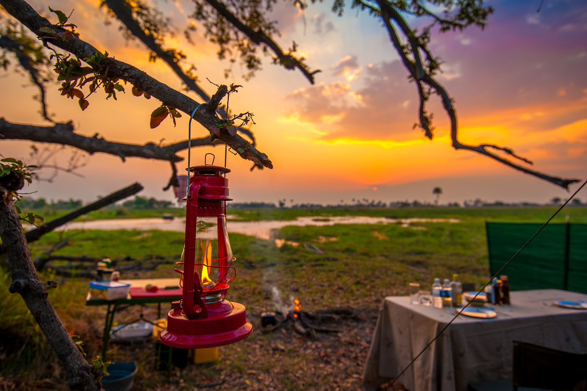 Oddballs-Camp-Moremi-Game-Reserve-Botswana-mokoro-trail A rustic experience which is exceptionally authentic
