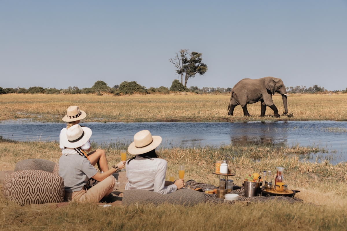 Wilderness-Mombo-Moremi-Game-Reserve-Botswana-bushpicnic Elephant sighting whilst on a bush picnic