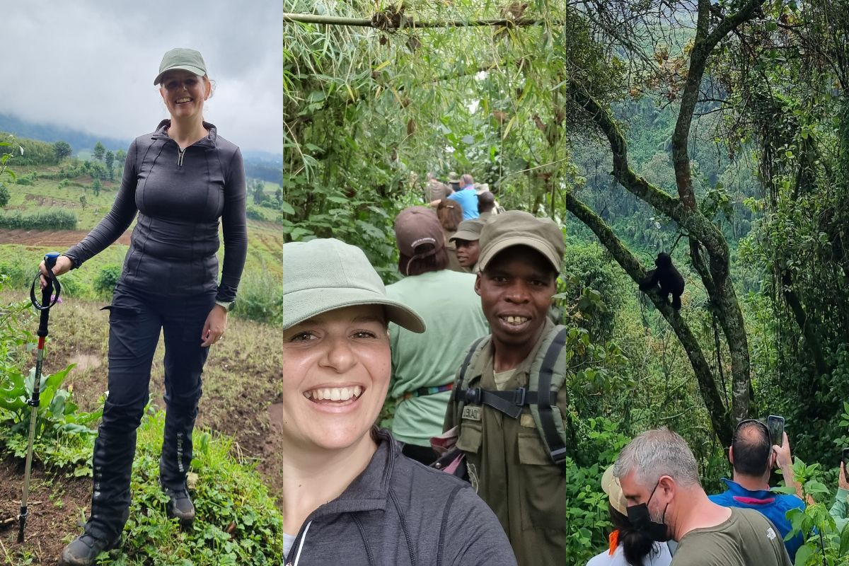 Allsion-bothma-gorilla-trekking-volcanoes-national-park A triptych of Allison's progression of her gorilla trekking experience in Volcanoes National Park