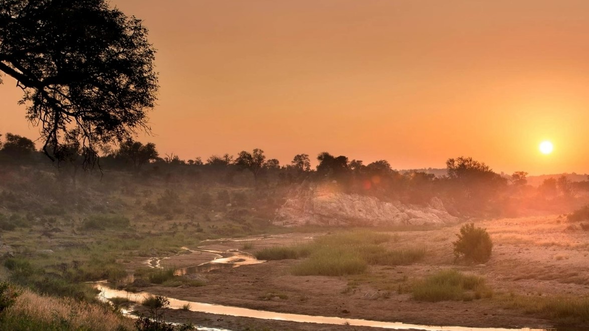 Kruger-National-Park-riverbed Kruger National Park riverbed at dusk