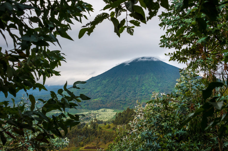 Les montagnes brumeuses qui abritent les gorilles