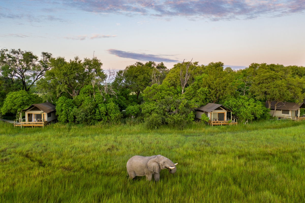 Little-Sable-Khwai-okavango-botswana-elephant Safari lodges in the Okavango Delta have the best views