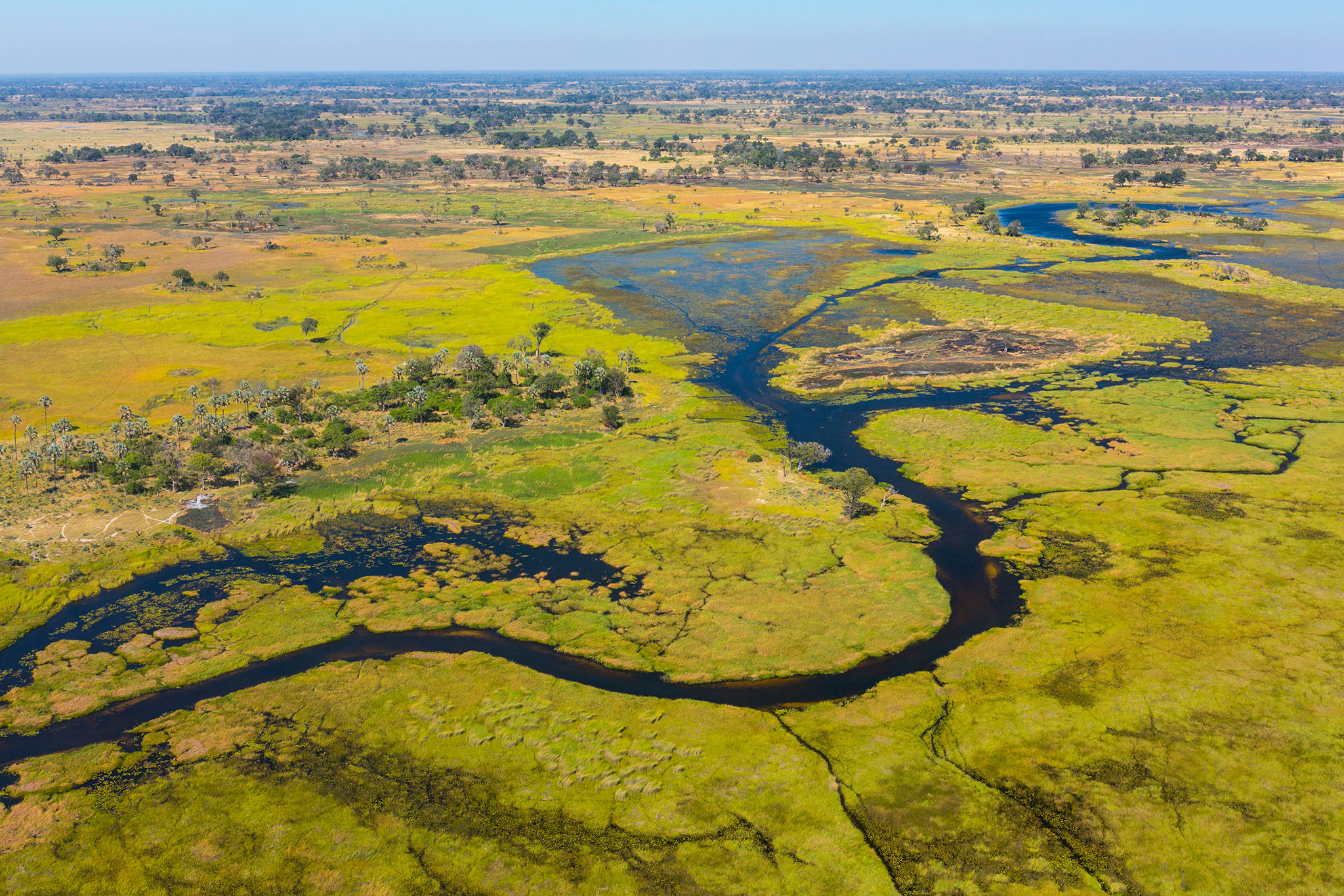 okavango-delta-botswana-africa-AdobeStock_272610236 One of Botswana's greatest wonders, the Okavango River Delta