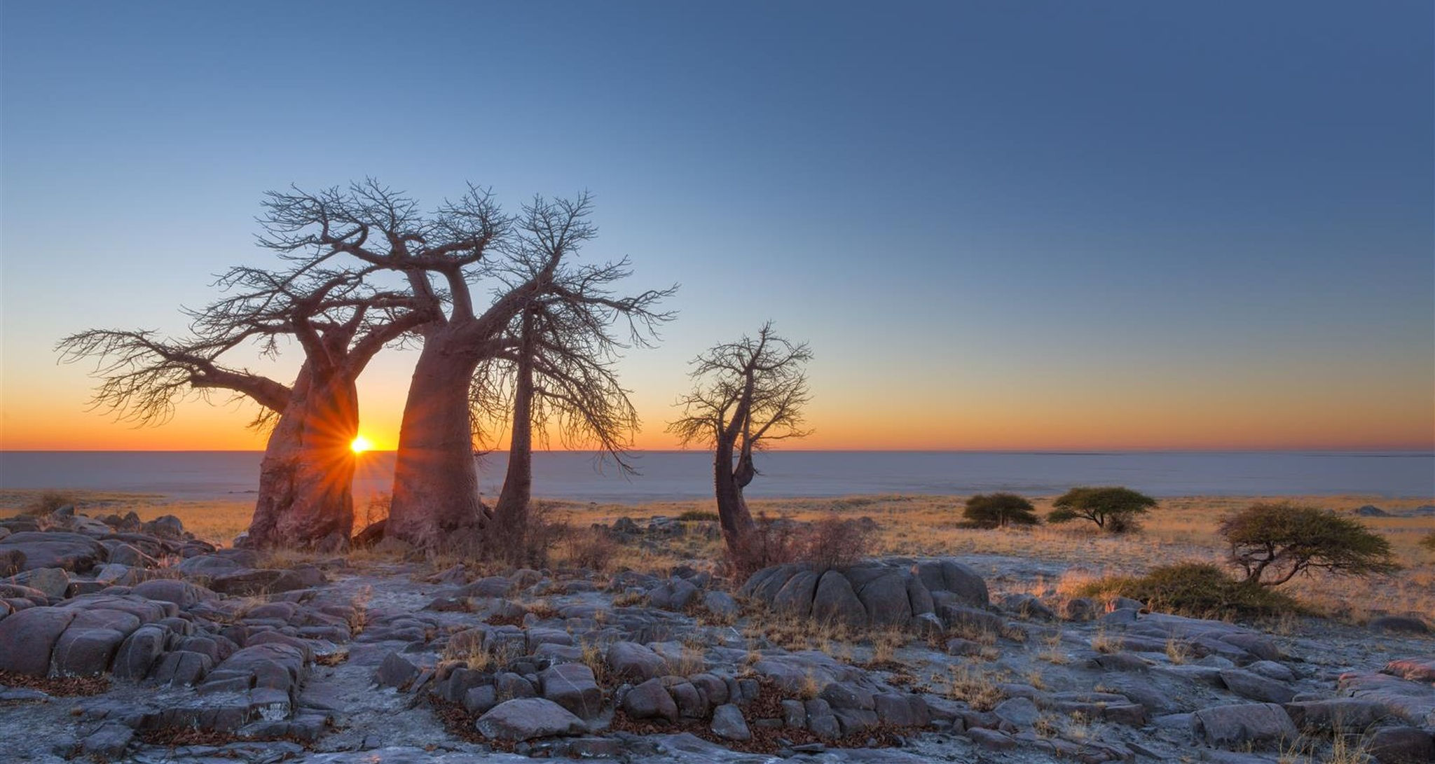 Erleben Sie Makgadikgadi auf einer Reise durch Botswana