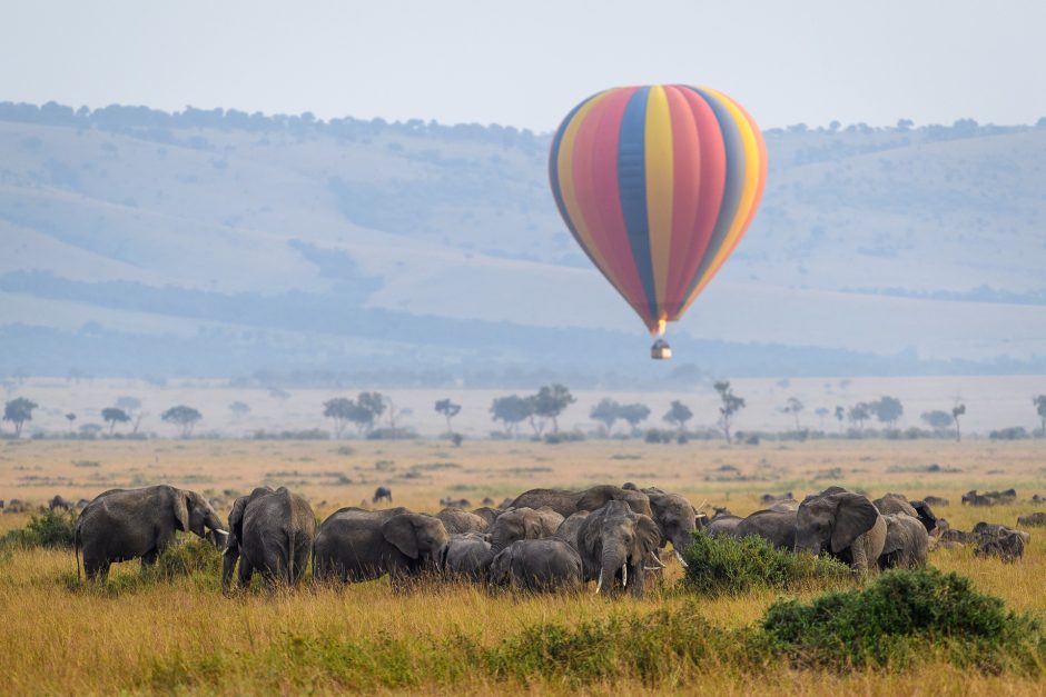 governors-balloon-safari-masai-mara Hot air balloon safari with Governors' Camp Collective over the Masai Mara