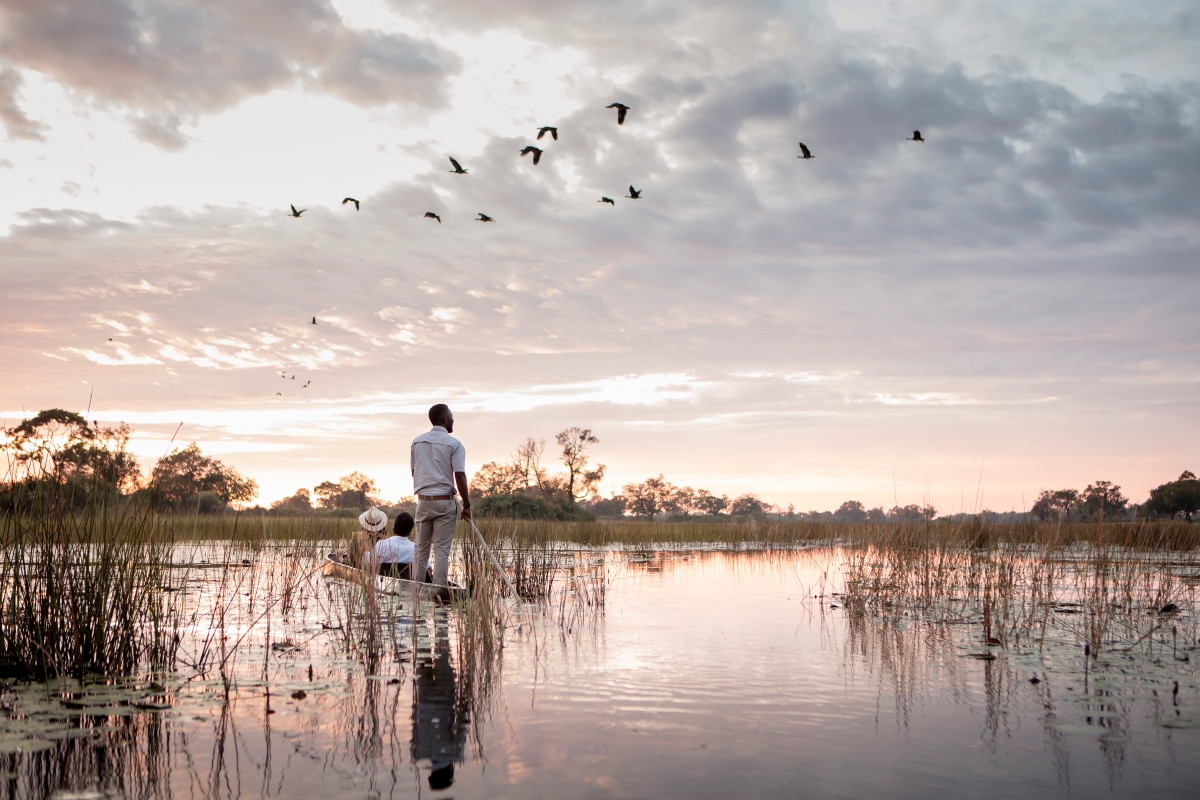 mokoro_vumbura_tcunniffe_Wilderness_Vumbura_Plains A guide skillfully poles a traditional mokoro canoe through the calm waters of the Okavango Delta at sunrise, as birds take flight against a pastel-coloured sky