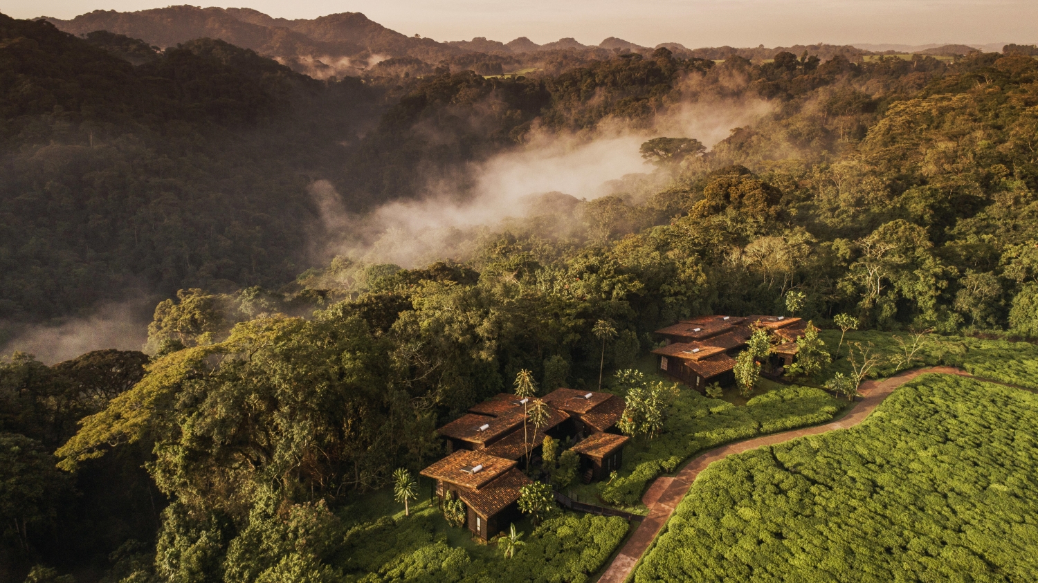One&Only-Nyungwe-House One&Only Nyungwe House