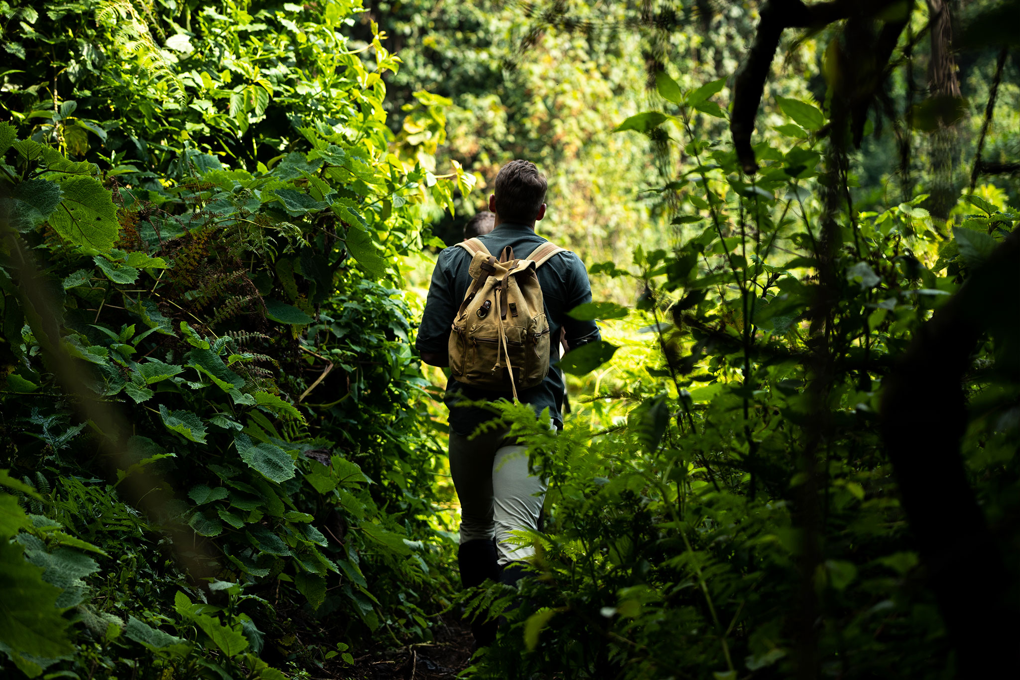 africa-up-close-by-rhino-africa-gorillas-nest-rwanda-142 Parcourez les collines ondoyantes, les cimes luxuriantes et les majestueux sommets montagneux lors de votre aventure de trek