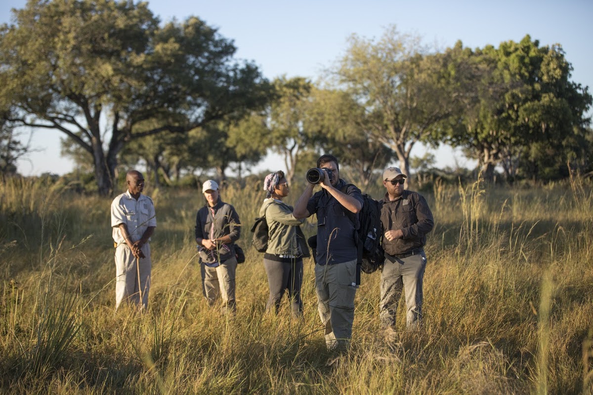 DDS-Educational-botswana-moremi-okovango-delta-people-bushwalk-camera-D6A1828 Local guide leading guests on a walking tour in Botswana’s Moremi, Okavango Delta – showcasing educational, low-impact tourism that supports conservation and community development.