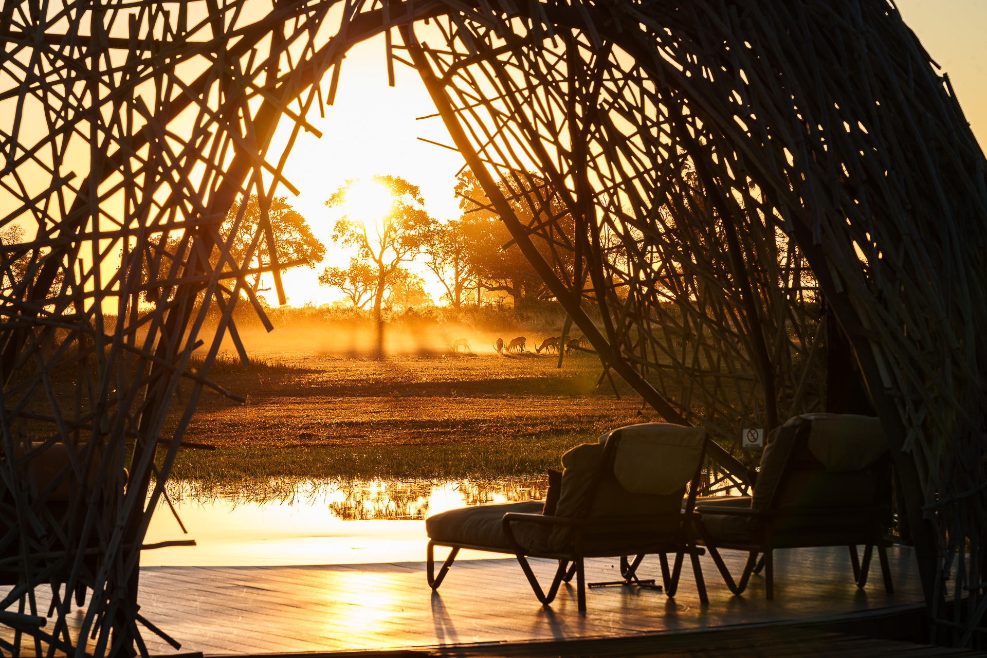 Wilderness-Jao-botswana-safari-sunrise The golden sunrise frames a view of zebras grazing in the misty grasslands, seen from the comfort of a luxury safari lodge—one of the best times to visit Botswana for a safari.