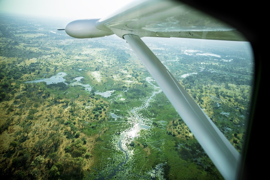 botswana-green-landscape Botswana from a bird's-eye veiw
