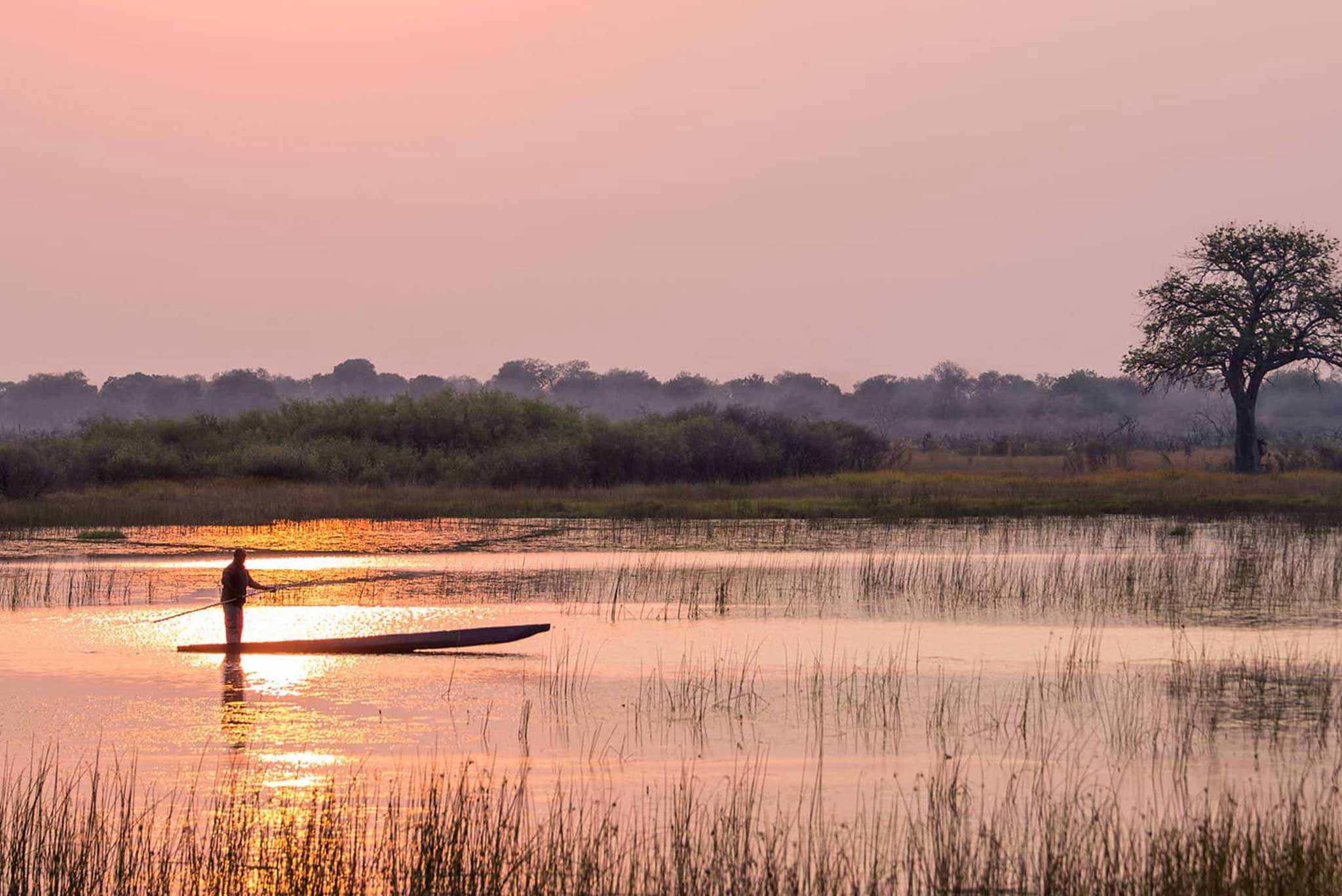 mokoro-ride-okavango-delta-vumbura-plains-01 Sunset mokoro ride over the Okavango Delta